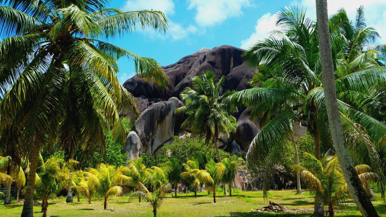 explore beautiful attractions in La Digue on attenvo